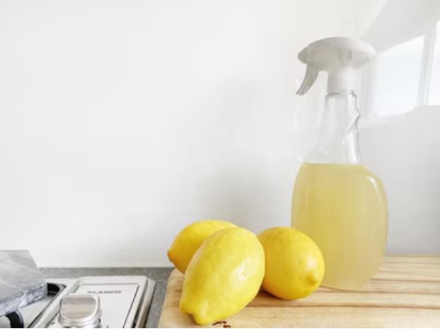 Understanding the Responsibilities of Professional Cleaners