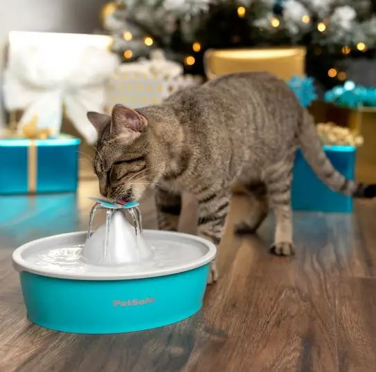 Holiday Gift Guide For Pets 2021 Holiday Gift Guide For Pets 2021