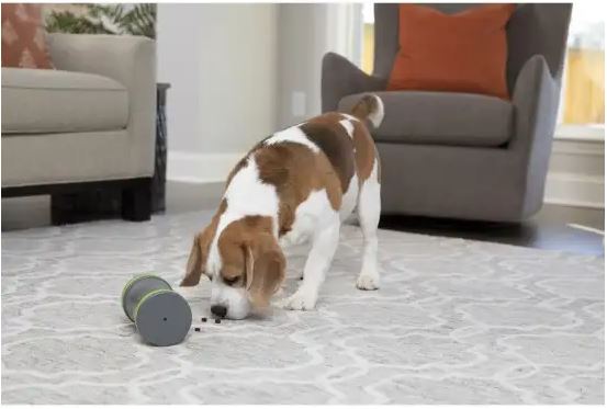 Holiday Gift Guide For Pets 2021 Holiday Gift Guide For Pets 2021