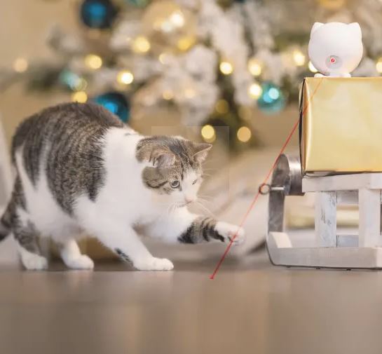 Holiday Gift Guide For Pets 2021 Holiday Gift Guide For Pets 2021