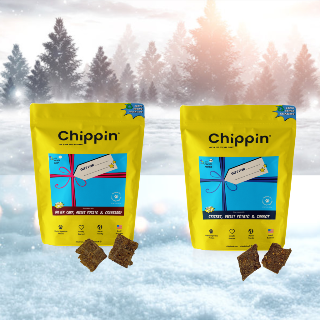 Holiday Gift Guide For Pets 2021 Holiday Gift Guide For Pets 2021