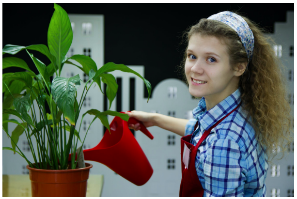 Proven Ways to Make Money When Traveling