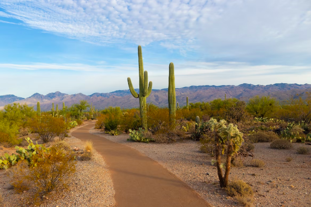 Places You Need to Visit When in Arizona
