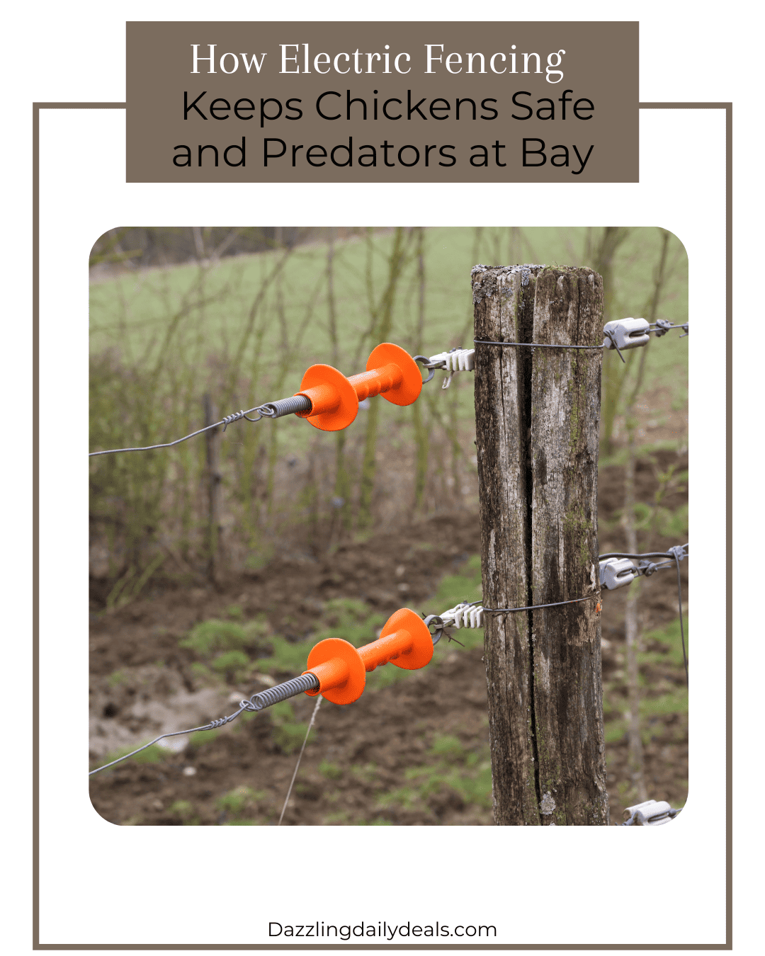 How Electric Fencing Keeps Chickens Safe and Predators at Bay