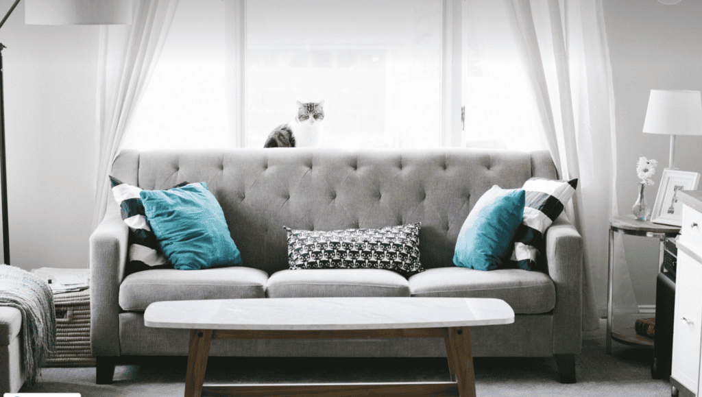 Why People Skip Interior Designers Until They See the Impact Why People Skip Interior Designers Until They See the Impact