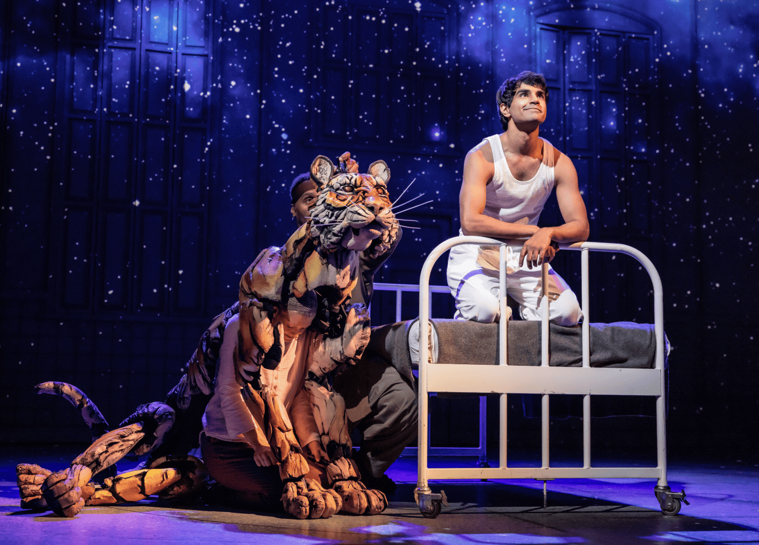 A Mesmerizing Voyage: Life of Pi at Keller Auditorium